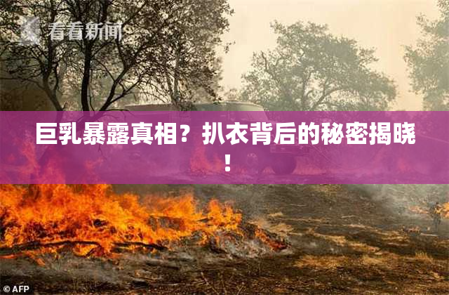 巨乳暴露真相？扒衣背后的秘密揭晓！