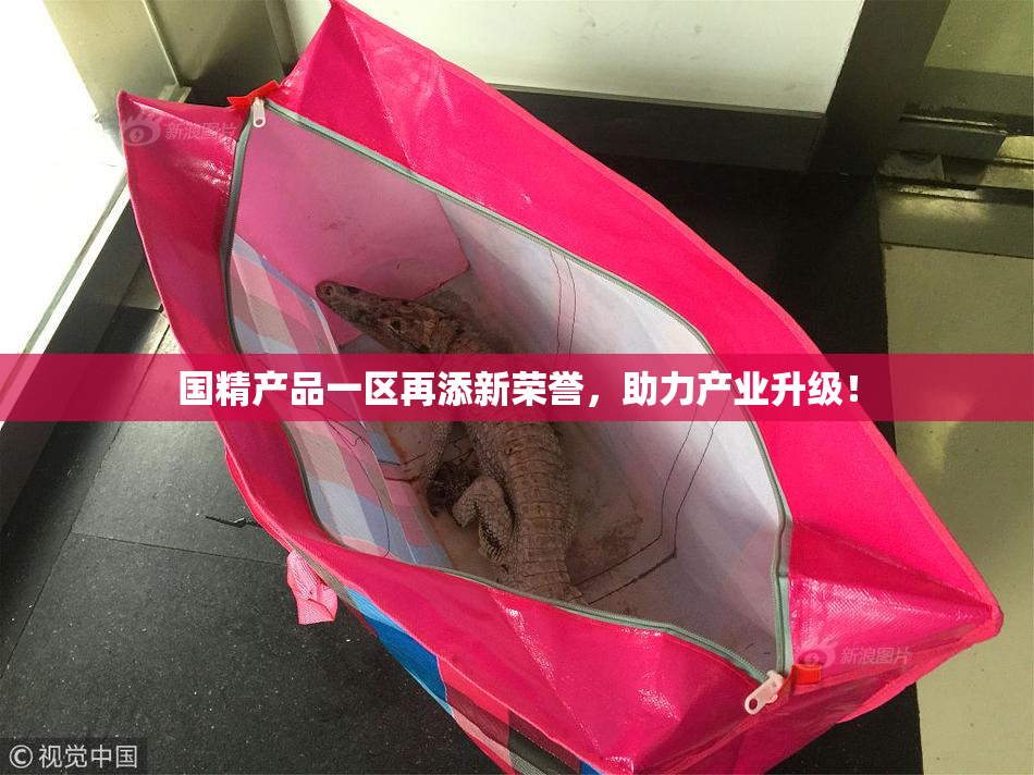 国精产品一区再添新荣誉，助力产业升级！