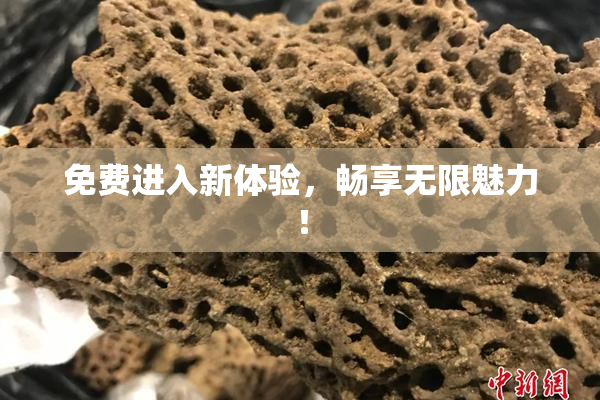 免费进入新体验，畅享无限魅力！