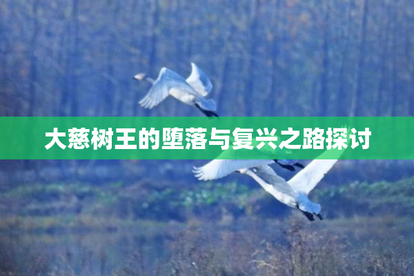 大慈树王的堕落与复兴之路探讨