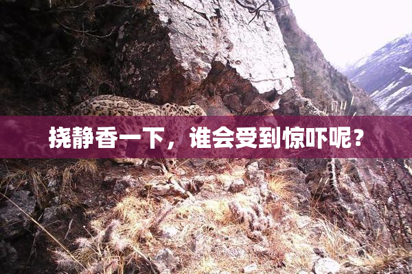 挠静香一下，谁会受到惊吓呢？