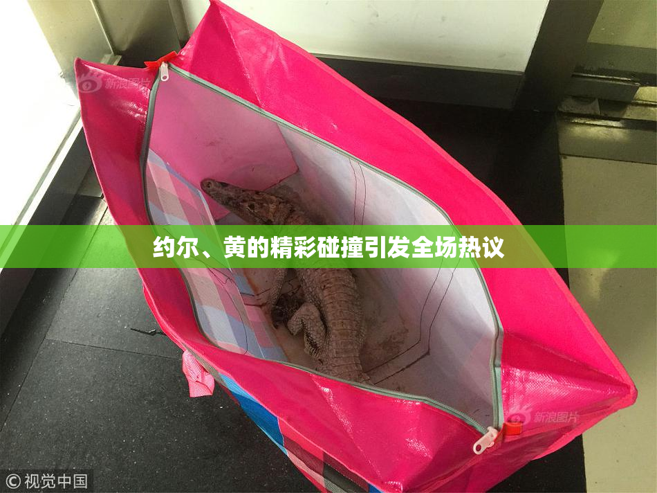约尔、黄的精彩碰撞引发全场热议