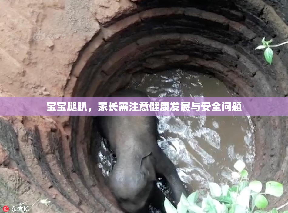 宝宝腿趴，家长需注意健康发展与安全问题