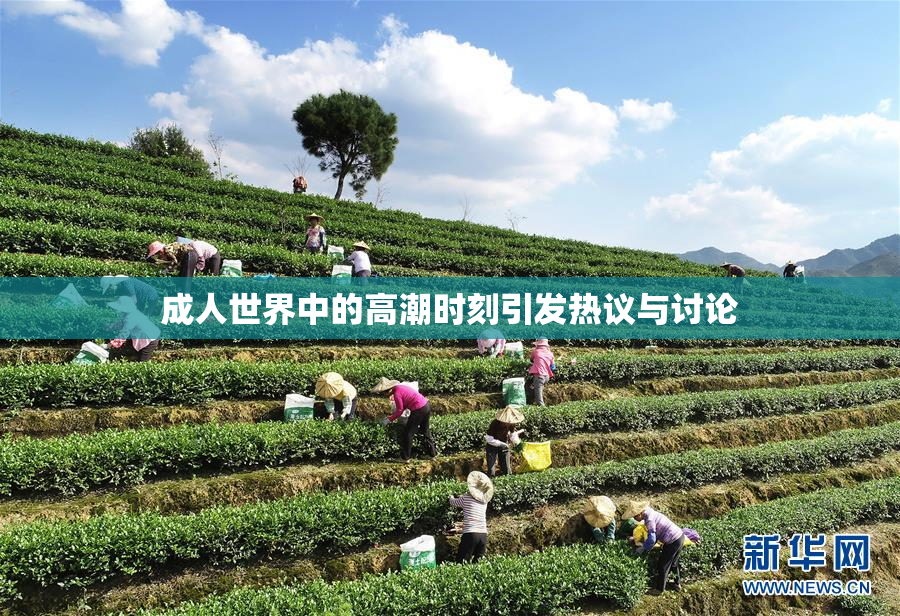 成人世界中的高潮时刻引发热议与讨论