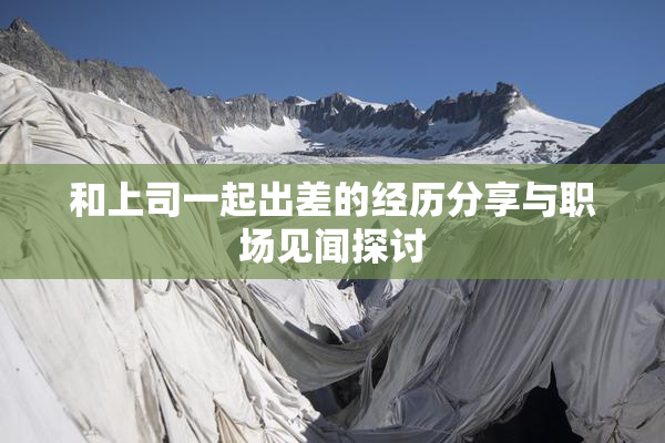 和上司一起出差的经历分享与职场见闻探讨