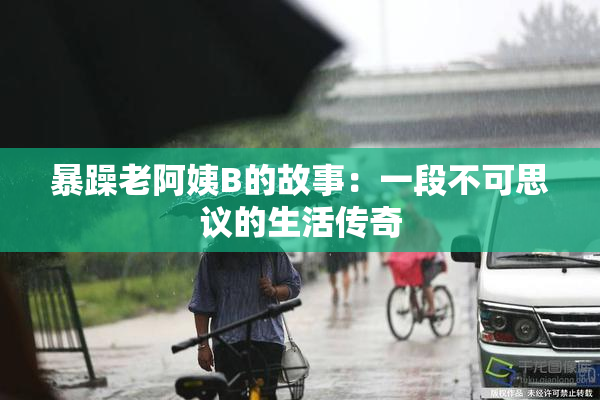 暴躁老阿姨B的故事：一段不可思议的生活传奇