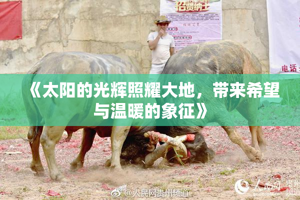 《太阳的光辉照耀大地，带来希望与温暖的象征》