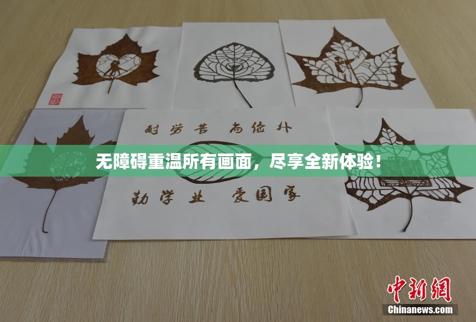 无障碍重温所有画面，尽享全新体验！