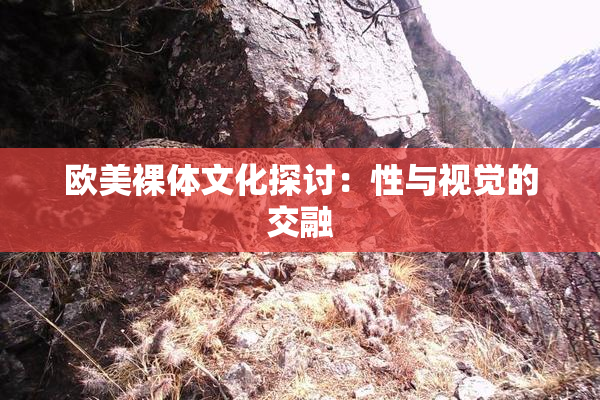 欧美裸体文化探讨：性与视觉的交融