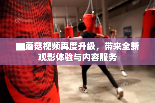 ▇蘑菇视频再度升级，带来全新观影体验与内容服务