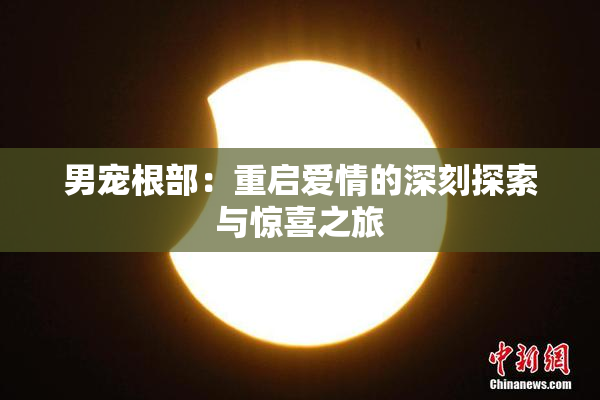 男宠根部：重启爱情的深刻探索与惊喜之旅