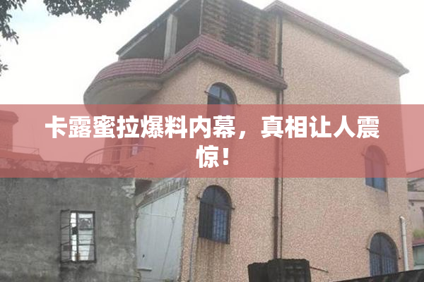 卡露蜜拉爆料内幕，真相让人震惊！