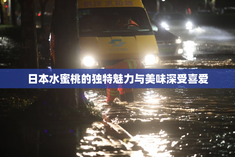 日本水蜜桃的独特魅力与美味深受喜爱