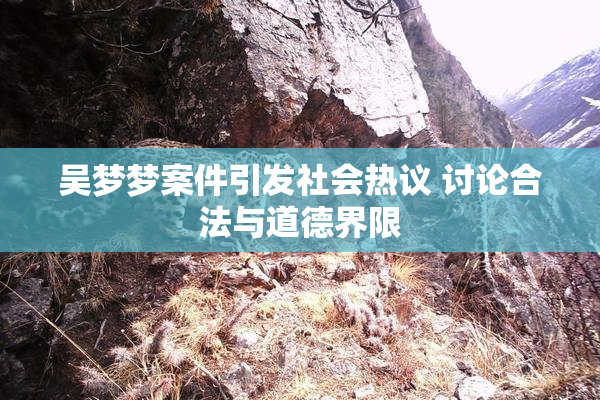 吴梦梦案件引发社会热议 讨论合法与道德界限
