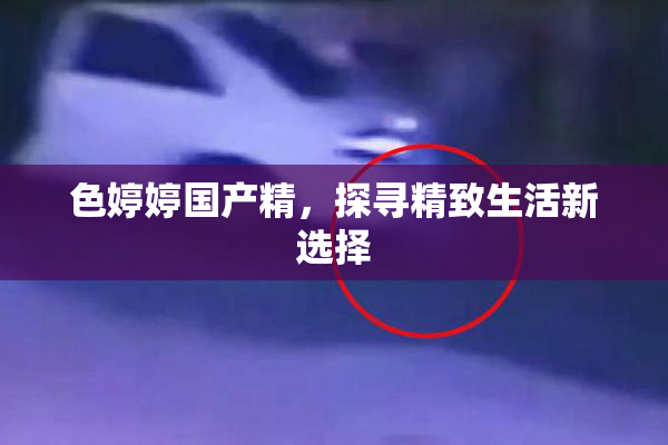 色婷婷国产精，探寻精致生活新选择