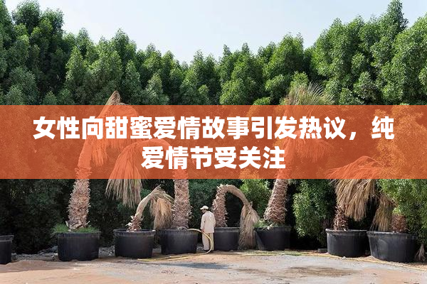 女性向甜蜜爱情故事引发热议，纯爱情节受关注