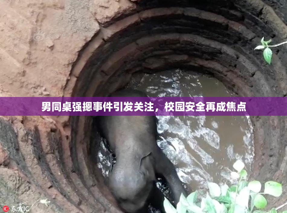 男同桌强摁事件引发关注，校园安全再成焦点
