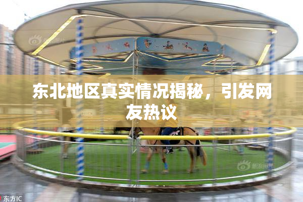 东北地区真实情况揭秘，引发网友热议