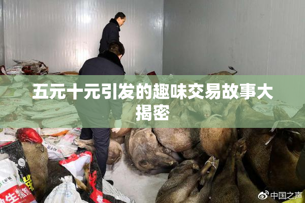 五元十元引发的趣味交易故事大揭密