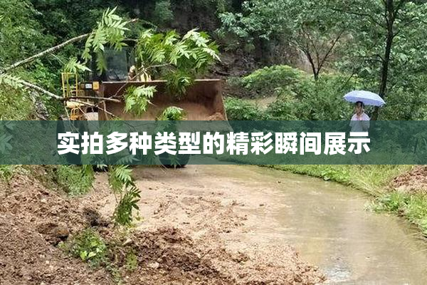实拍多种类型的精彩瞬间展示