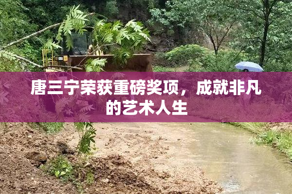 唐三宁荣获重磅奖项，成就非凡的艺术人生