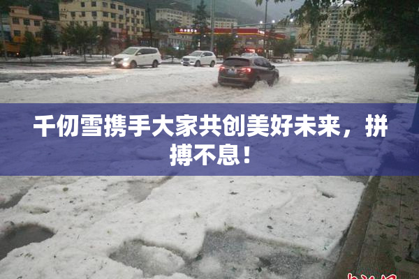 千仞雪携手大家共创美好未来，拼搏不息！