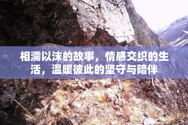 相濡以沫的故事，情感交织的生活，温暖彼此的坚守与陪伴
