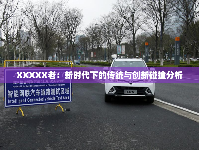 XXXXX老：新时代下的传统与创新碰撞分析