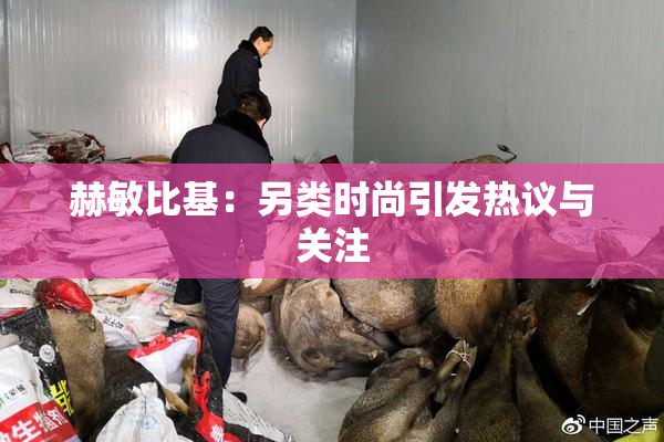 赫敏比基：另类时尚引发热议与关注
