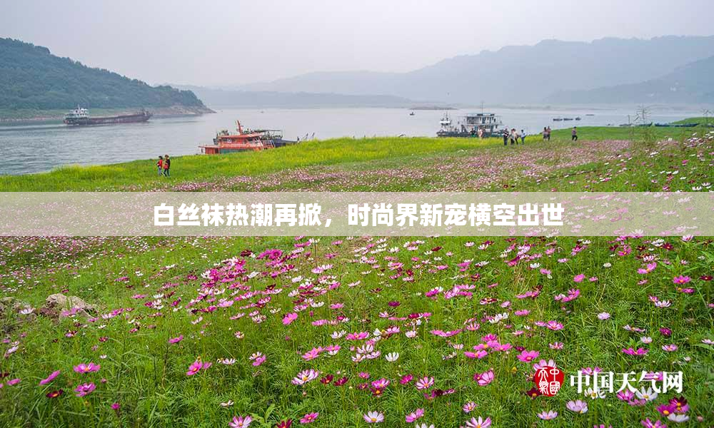 白丝袜热潮再掀，时尚界新宠横空出世