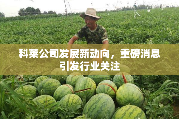科莱公司发展新动向，重磅消息引发行业关注
