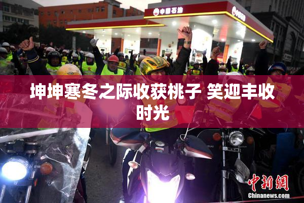 坤坤寒冬之际收获桃子 笑迎丰收时光