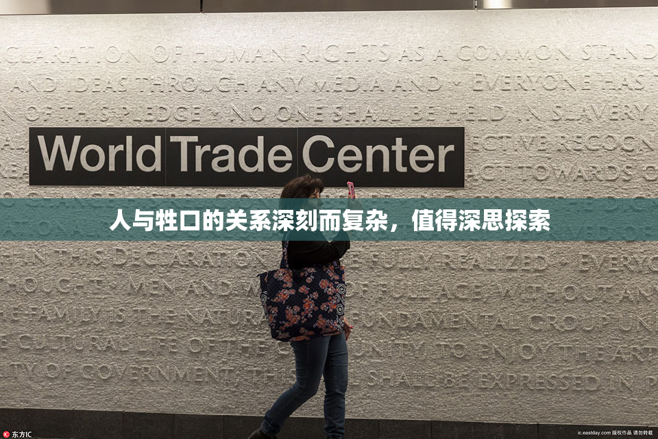 人与牲口的关系深刻而复杂，值得深思探索