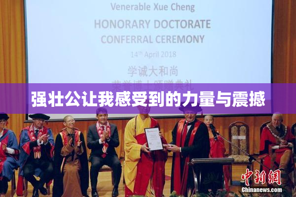 强壮公让我感受到的力量与震撼