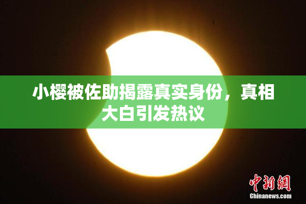 小樱被佐助揭露真实身份，真相大白引发热议