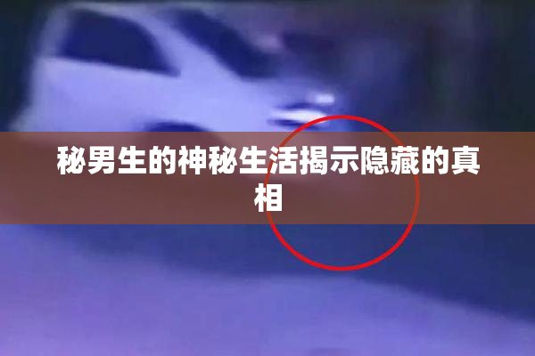 秘男生的神秘生活揭示隐藏的真相