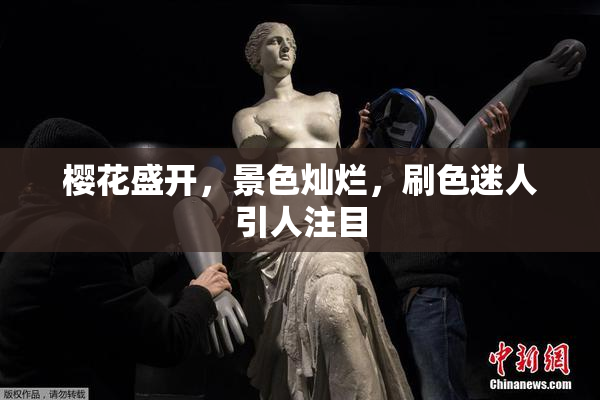 樱花盛开，景色灿烂，刷色迷人引人注目