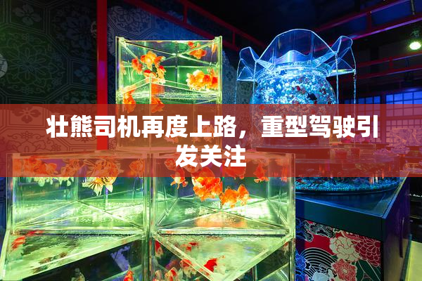 壮熊司机再度上路，重型驾驶引发关注