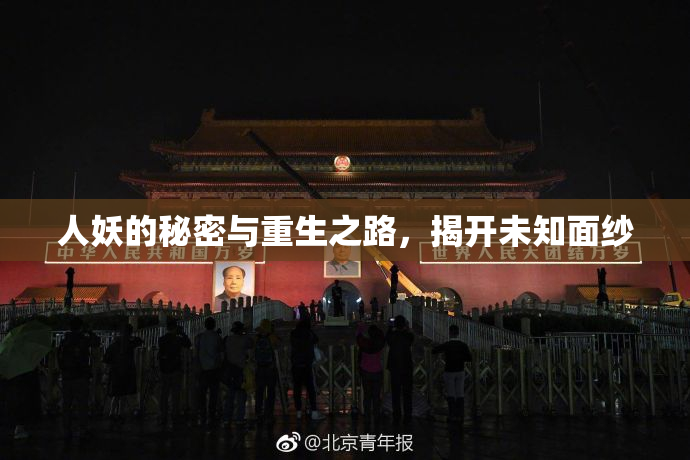 人妖的秘密与重生之路，揭开未知面纱