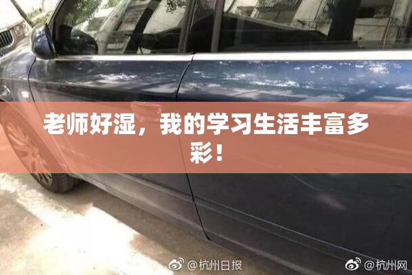 老师好湿，我的学习生活丰富多彩！