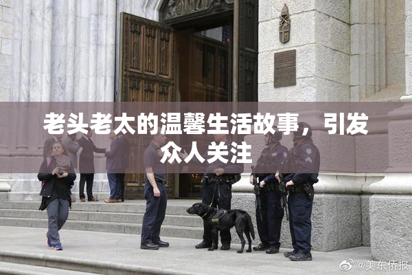 老头老太的温馨生活故事，引发众人关注