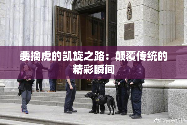 裴擒虎的凯旋之路：颠覆传统的精彩瞬间