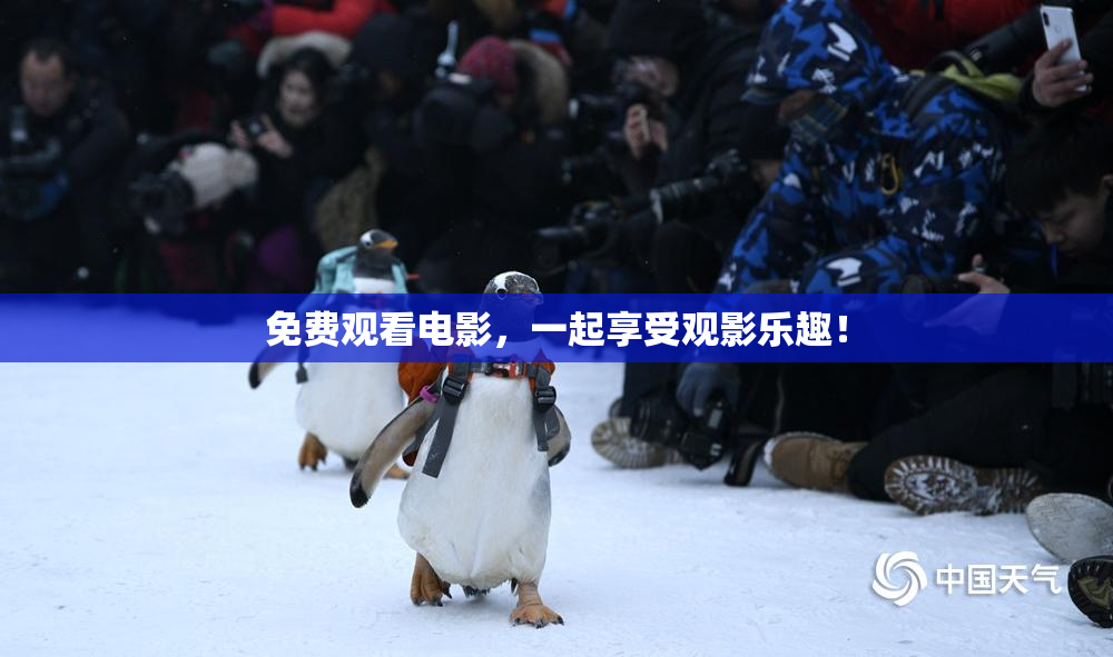 免费观看电影，一起享受观影乐趣！
