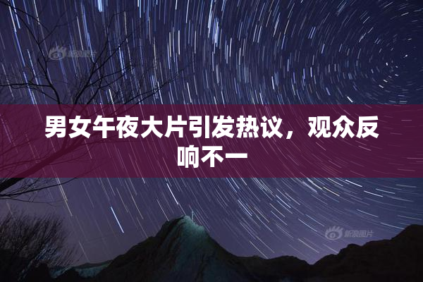 男女午夜大片引发热议，观众反响不一
