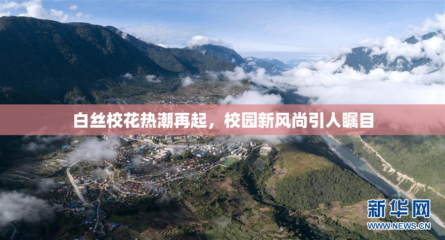 白丝校花热潮再起，校园新风尚引人瞩目