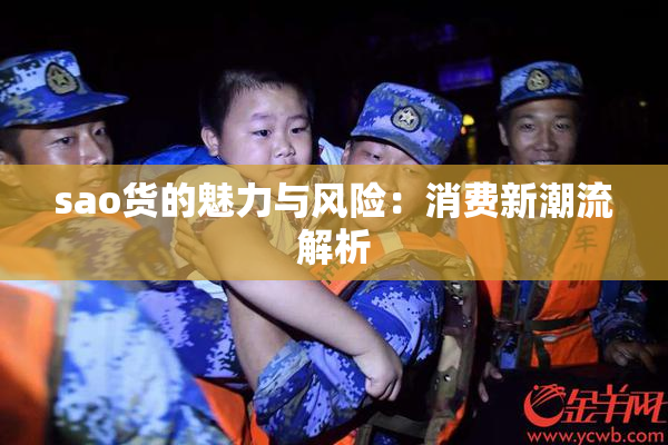 sao货的魅力与风险：消费新潮流解析