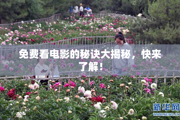 免费看电影的秘诀大揭秘，快来了解！