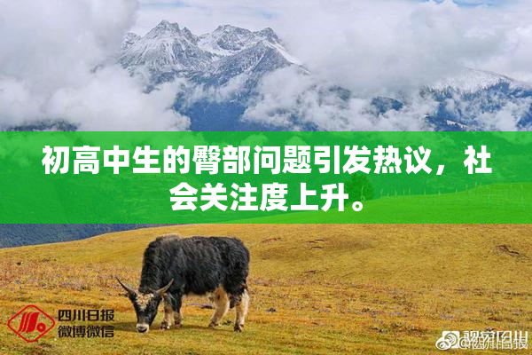 初高中生的臀部问题引发热议，社会关注度上升。