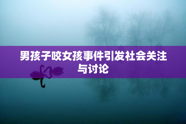 男孩子咬女孩事件引发社会关注与讨论
