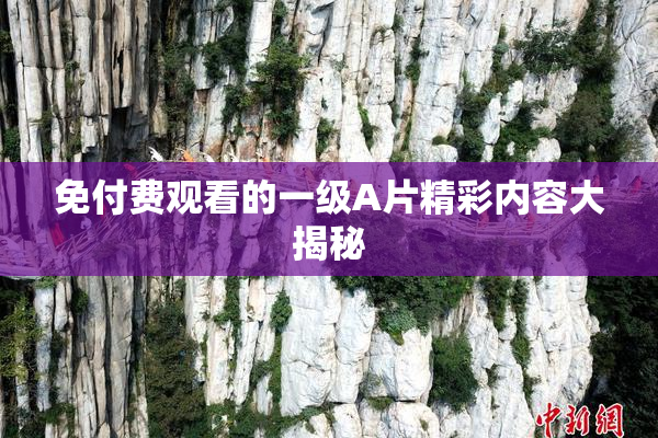 免付费观看的一级A片精彩内容大揭秘